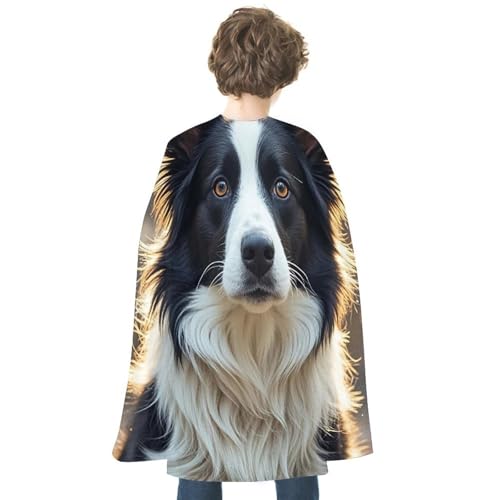 JTREWBV Halloween-Weihnachtsumhang, niedlicher Border Collie-Druck, Party-Umhang, Cosplay-Umhang für Party, Superhelden-Kostüm von JTREWBV