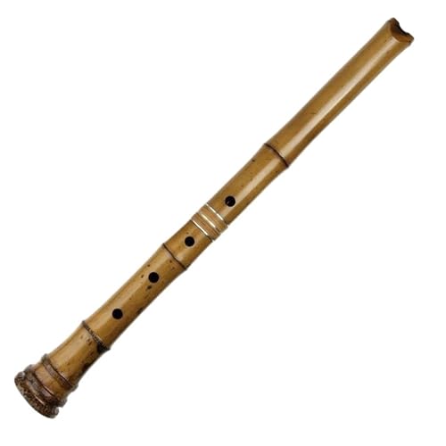 Professionelle Bambusflöte D Tonart Zweiteilige Bambusflöte mit Tasche für professionelle Musikinstrumente Professionelle Bambusflöte D Tonart Zweiteilige Bambusflöte mit Tasche für professionelle Musikinstrumente von JTYUERWQ
