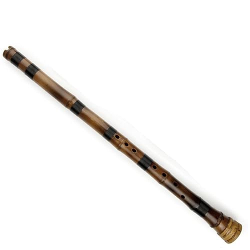 Professionelle Bambusflöte G Tonart Traditionelles handgefertigtes Holzblasinstrument lila Bambusflöte Professionelle Bambusflöte G Tonart Traditionelles handgefertigtes Holzblasinstrument lila Bambusflöte von JTYUERWQ