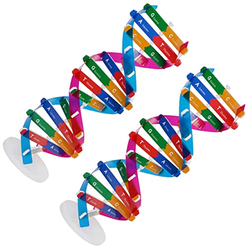 JUMPLAWN 2St Kunststoff-Gen-DNA-Modell molekularbiologie Double Helix nukleotid Wissenschafts-Kits für Instrumente Werkzeug deko DNA-Modell für den Unterricht Biologie DNA-Modell Abs von JUMPLAWN