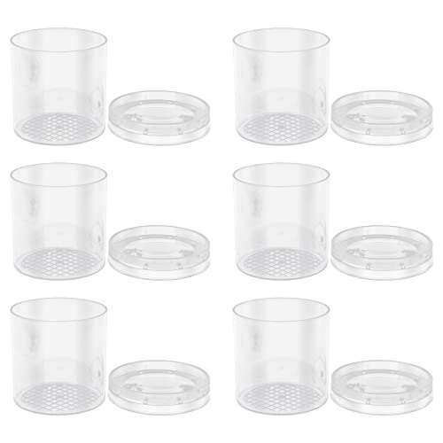 JUMPLAWN 6 Stücke Jagd Töpfe Vakuum Catcher Cookie Jar Beobachtung Biologie Wissenschaft Beobachter Hai Sammeln Töpfe Elektrische Lolly Jar Lupe Air para PVC von JUMPLAWN