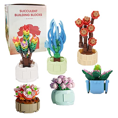 Sukkulenten Mystery Bag Building Kit, Kreative DIY Zufällige Botanische Sammlung Bauspielzeug Set für Erwachsene und Kinder, Kompatibel mit Lego (Build 1 Pflanze) von JUTTAUTO