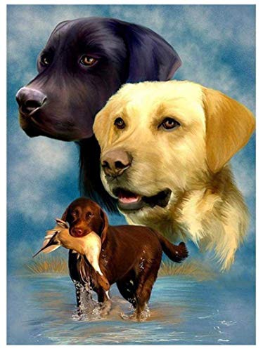 JYSHC Erwachsene 1000 Stück Puzzles 3 Labrador Hunde Holz Puzzle Familie Puzzle Spaß Spiel Kinder Puzzle Erwachsene Einzigartiges Dekompressionsgeschenk Nz16Ya von JYSHC