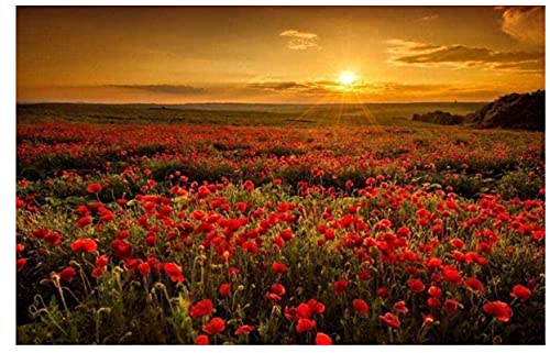 JYSHC Puzzle 1000 Teile Mohnblumen Bei Sonnenaufgang Poster Holz Spielzeug Für Erwachsene Dekompressionsspiel Gt167Cx von JYSHC