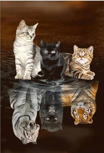 Katze Reflexion - 1000 Stück Holz-Puzzle - Erwachsene Familie Puzzle-Spiel Lz65Rp JYSHC von JYSHC