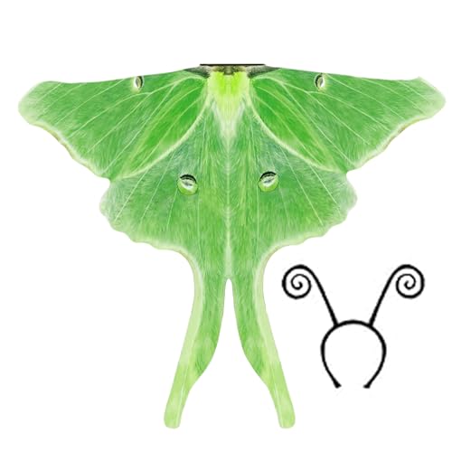 Jcasbdn Motten Kostüm Chiffon Halloween Erwachsener Schmetterling Kostüm Motte Cape Cape Shawl mit Stirnband für Halloween Party 70.9x57.1in Jcasbdn Motten Kostüm Chiffon Halloween Erwachsener Schmetterling Kostüm Motte Cape Cape Shawl mit Stirnband für Halloween Party 70.9x57.1in von Jcasbdn