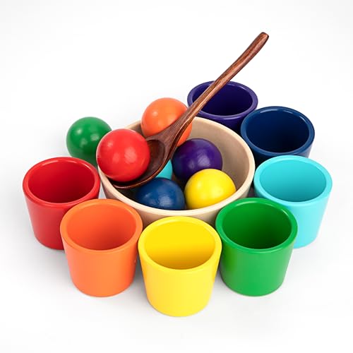 Jeesblsy Bälle in Tassen Montessori Spielzeug, Farbe Sortierung und Zählen, Holz Sorter Spiel 7 Farben Matching Toy für Kinder Jungen Mädchen ab 3 Jahr (Bunt) von Jeesblsy