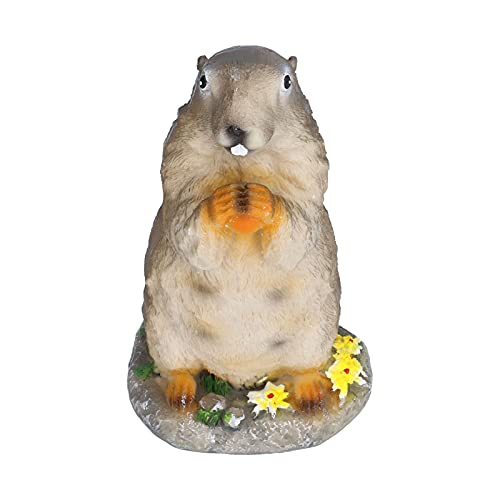 Jerliflyer Adorno de Marmota de Resina, Modelo de Animal pequeño, Accesorios de Paisaje para Bonsai y Decoraciones artesanales de Resina von Jerliflyer