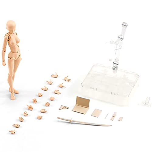 Jildouf Body Kun Actionfiguren, Body Kun DX Set, Body Kun und Body Chan Set, PVC Actionfiguren Zeichnung für Künstler Modellzeichnung für SHF S H Figuarts Sammlerspielzeug von Jildouf