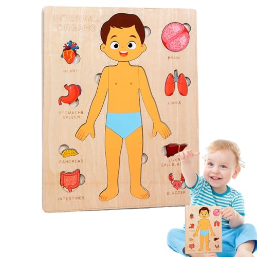 Joberio Anatomie-Puzzle für Kinder | Anatomie Holzpuzzle Spielzeug für Kinder - Buntes Lernspielzeug für und Mädchen, tragbares Puzzlebrett für das Klassenzimmer von Joberio