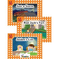 Jolly Phonics Orange Level Readers Set 4 von Jolly Learning Ltd