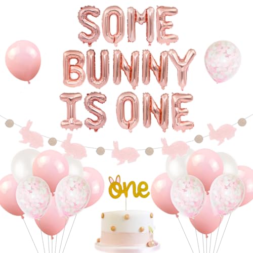 Bunny 1st Birthday Party Dekorationen liefert einige Bunny ist ein Ballons Bunny Folienballons Girlande für Osterhasen Birthday Party Supplies von Jollyboom