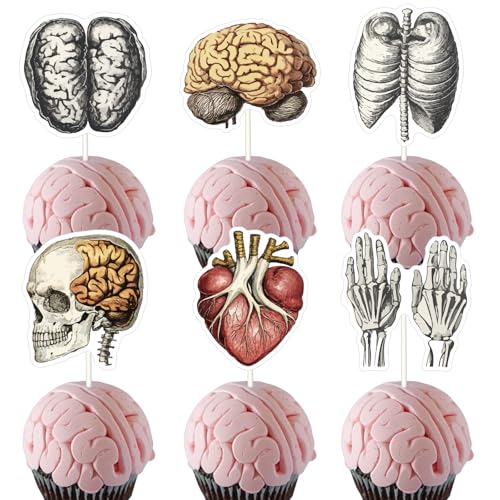 Jollyboom Menschliche Anatomie-Party-Dekoration, 36 Stück, menschlicher Körper, Cupcake-Topper, menschlicher Körperteil, Organ, doppelseitige Kuchendekoration für Anatomie, Arzt, Krankenschwester, von Jollyboom