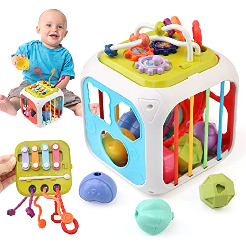 JoyPlus Montessori Sensorik Spielzeug ab 1 Jahr, Motorikspielzeug für Kleinkinder, Bunter Formensortierspiel Spielzeug, Lernspielzeug Geschenk für Jungen Mädchen ab 12 Monate von JoyPlus