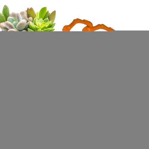 Jubilofex 3D-gedrucktes Spinnen-Fidget, 3D-gedruckte Gelenkspinne,3D-gedruckte Spinnenspielzeuge mit beweglichen Gelenken | Stressabbau-Schreibtischspielzeug für Erwachsene, Zappelspielzeug, Jubilofex 3D-gedrucktes Spinnen-Fidget, 3D-gedruckte Gelenkspinne,3D-gedruckte Spinnenspielzeuge mit beweglichen Gelenken | Stressabbau-Schreibtischspielzeug für Erwachsene, Zappelspielzeug, von Jubilofex