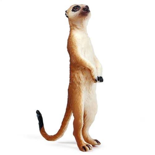 Jubilofex Simulation Mungo Figure-Wild Life Modell, Tiermodell für realistische Tiere für die | Miniatur-Wüsten-Skulptur für Kleinkinder, Geburtstags-Kollektion Jubilofex Simulation Mungo Figure-Wild Life Modell, Tiermodell für realistische Tiere für die | Miniatur-Wüsten-Skulptur für Kleinkinder, Geburtstags-Kollektion von Jubilofex