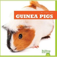 Guinea Pigs von Jump!