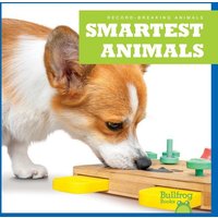 Smartest Animals von Jump!