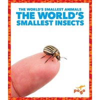 The World's Smallest Insects von Jump!