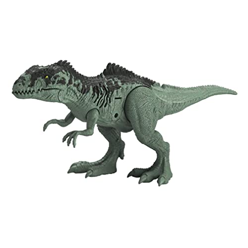 Jurassic World 30,5 cm große Dinosaurier-Figur, Strike & Chomp Action, Geräusche, bewegliche Gelenke, tolles Geschenk für Kinder ab 4 Jahren von Jurassic World