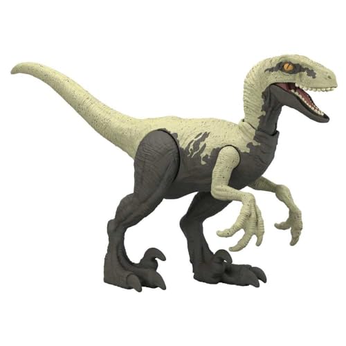 Jurassic World Gefährlicher Velociraptor Dinosaurier mit beweglichen Gelenken für Kinder ab 4 Jahren Jurassic World Gefährlicher Velociraptor Dinosaurier mit beweglichen Gelenken für Kinder ab 4 Jahren von Jurassic World