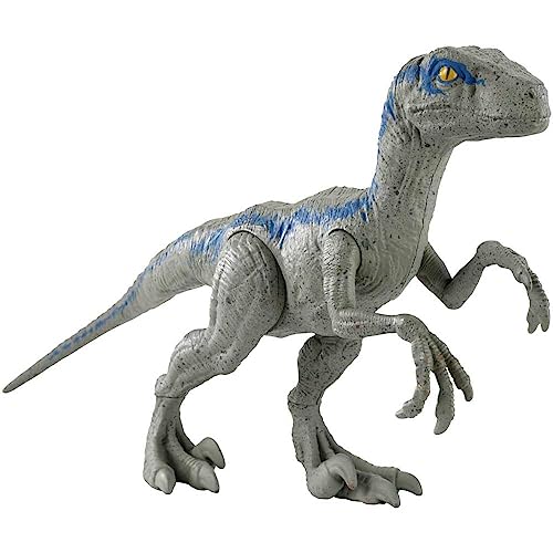 MATTEL Velocirapator Blue Jurassic World Dinosaurier, 30,5 cm, HMF83, Mehrfarbig von Jurassic World