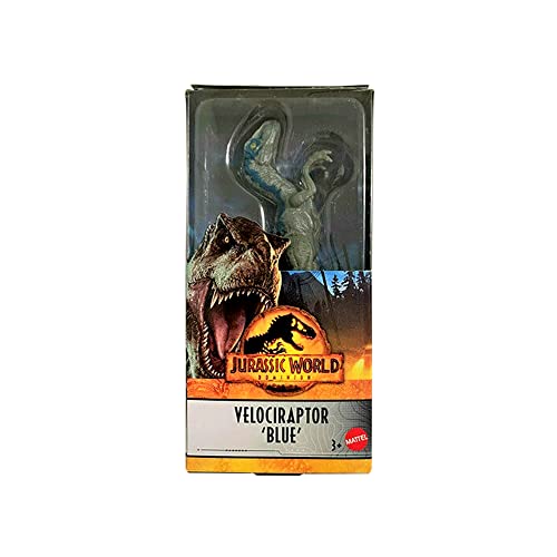 Mattel Velociraptor Dinosaurier-Figur, 15,2 cm, Blau von Jurassic World