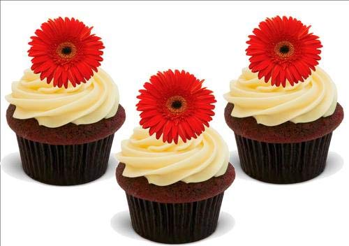 Orange Gerbera Blume 12 essbare hochwertige stehende Waffeln Kuchen Toppers, Orange Gerbera Flower 12 Standup Premium Wafer Cake Toppers Orange Gerbera Blume 12 essbare hochwertige stehende Waffeln Kuchen Toppers, Orange Gerbera Flower 12 Standup Premium Wafer Cake Toppers von Just Party Supplies