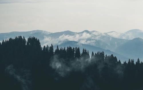 Cloudy Mountains - 3000 Teile Holzpuzzle - Lustiges Holzpuzzle Für Erwachsene - Anspruchsvolles Puzzle Mit Ungewöhnlichen Tierteilen - Puzzles von KAIXIUPuzzle