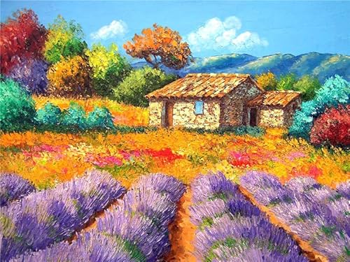 Field House - 300-Teiliges Puzzle, Anspruchsvolles Puzzle Für Erwachsene, Kunstpuzzle, Lustige Puzzle, Kreativ von KAIXIUPuzzle