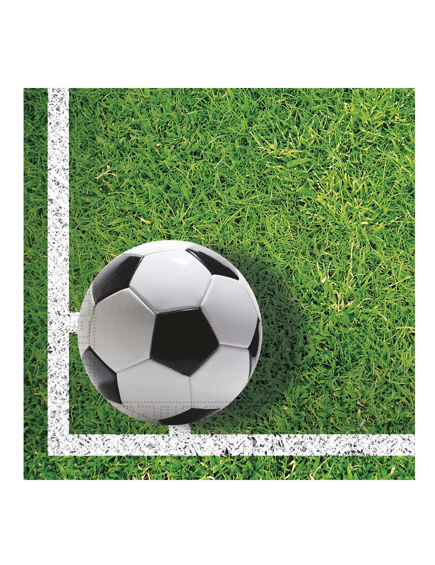 20 Fußball Party Servietten 33 x 33 cm Spielfeld Motiv 20 Fußball Party Servietten 33 x 33 cm Spielfeld Motiv von KARNEVAL-MEGASTORE