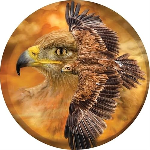 3D-Puzzle aus Holz: – Personalisiertes Puzzle, kein Kleber erforderlich, wiederverwendbares Puzzle(Flying Eagle A3 Wooden Box) von KCHYCV