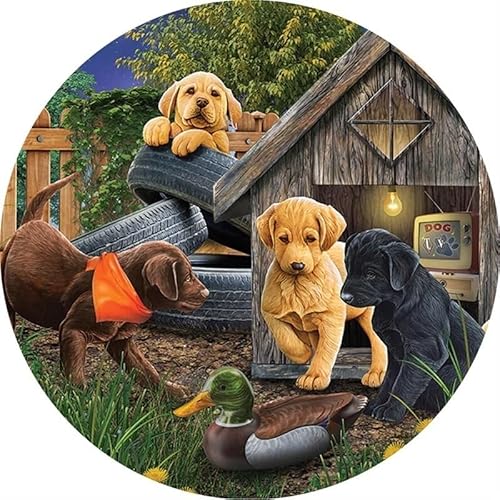 3D-Puzzle aus Holz: – Personalisiertes Puzzle, kein Kleber erforderlich, wiederverwendbares Puzzle(Paw Paw Team A4 Wooden Box) von KCHYCV