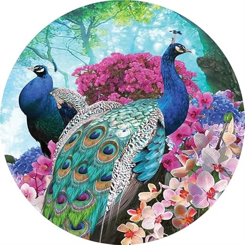 3D-Puzzle aus Holz: – Personalisiertes Puzzle, kein Kleber erforderlich, wiederverwendbares Puzzle(Two Peacocks A3 Wooden Box) von KCHYCV