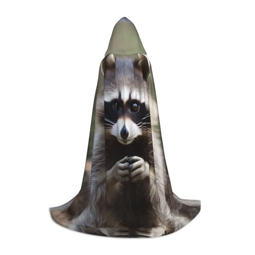 KDSEFHHCB Nette Waschbär Druck Kapuze Cape Für Jugendliche Halloween Weihnachtsfeier Kap Cosplay Kostüm von KDSEFHHCB