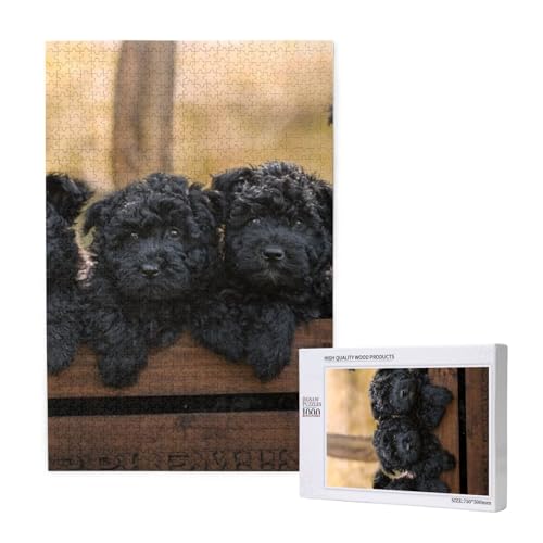 Affenpinscher Familie Welpen Schwarze Hunde AFFE, Puzzle 1000 Teile, Holzpuzzle, Spielzeug, Familienspiel, Wanddekoration für Erwachsene und Teenager von KEDDJI