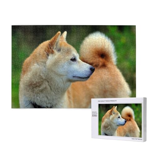 Akita Inu Bokeh Haustiere Hunde Akita Inu, Puzzle 1000 Teile, Holzpuzzle, Spielzeug, Familienspiel, Wanddekoration für Erwachsene und Teenager Akita Inu Bokeh Haustiere Hunde Akita Inu, Puzzle 1000 Teile, Holzpuzzle, Spielzeug, Familienspiel, Wanddekoration für Erwachsene und Teenager von KEDDJI