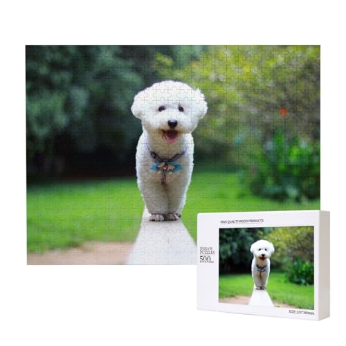 Bichon Frise Bokeh Haustiere Hunde Park Weiße Hunde, Puzzle 500 Teile, Holzpuzzle, Spielzeug, Familienspiel, Wanddekoration für Erwachsene und Teenager von KEDDJI