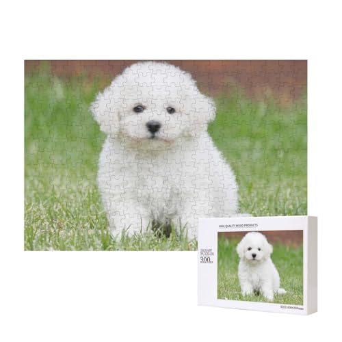 Bichon Frise Hund Bedruckt, Puzzle 300 Teile Holzpuzzle Spielzeug Familienspiel Wanddekoration für Erwachsene Teenager von KEDDJI