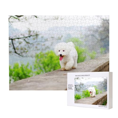 Bichon Frise Park Haustiere Hunde Bichon Frise Hunde, Puzzle 500 Teile, Holzpuzzle, Spielzeug, Familienspiel, Wanddekoration für Erwachsene und Teenager von KEDDJI