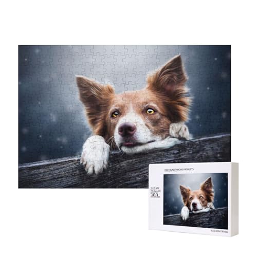 Brauner Border Collie Bokeh Gott mit gelben Augen, Puzzle 300 Teile Holzpuzzle Spielzeug Familienspiel Wanddekoration für Erwachsene Teenager von KEDDJI