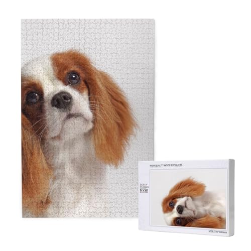 Cavalier King Charles Spaniel, Puzzle 1000 Teile, Holzpuzzle, Spielzeug, Familienspiel, Wanddekoration für Erwachsene und Teenager von KEDDJI