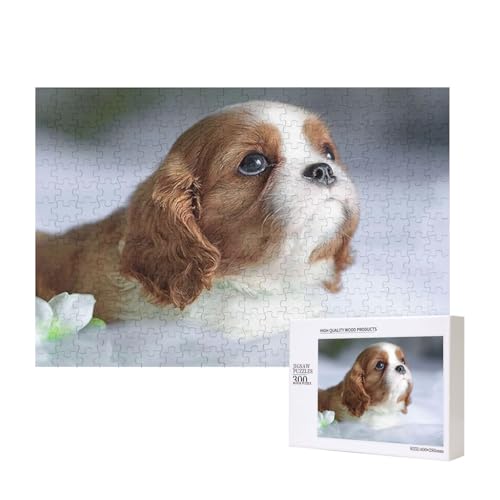 Cavalier King Charles Spaniel Gesicht, Puzzle 300 Teile Holzpuzzle Spielzeug Familienspiel Wanddekoration für Erwachsene Teenager von KEDDJI