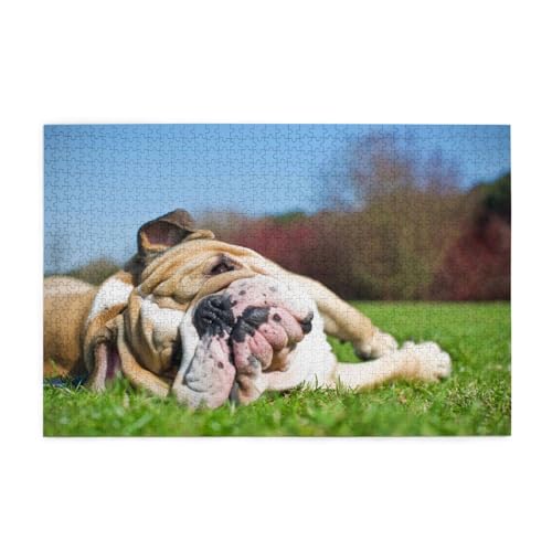 Englische Bulldoggen Müde Hunde Rasen Haustiere Englisch, Puzzle 1000 Teile, Holzpuzzle, Spielzeug, Familienspiel, Wanddekoration für Erwachsene und Jugendliche von KEDDJI
