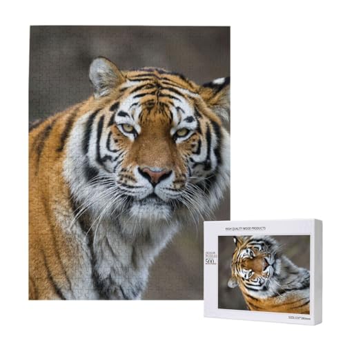 Gamasche Tiger, 500 Teile Puzzle Holzpuzzle Spielzeug Familienspiel Wanddekoration für Erwachsene Teenager von KEDDJI