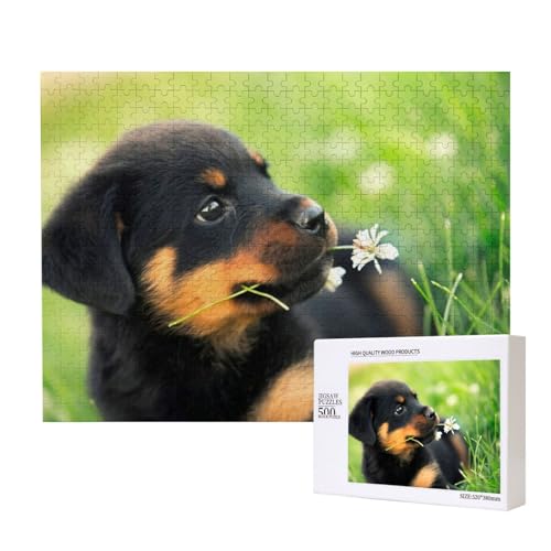 Hund Rottweiler Süß Tiere Tier Welpe, Puzzle 500 Teile, Holzpuzzle, Spielzeug, Familienspiel, Wanddekoration für Erwachsene und Teenager von KEDDJI