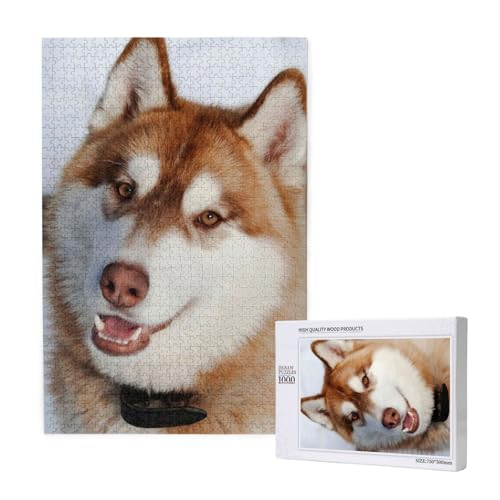 Huskies Druck, Puzzle 1000 Teile, Holzpuzzle, Spielzeug, Familienspiel, Wanddekoration für Erwachsene und Teenager von KEDDJI