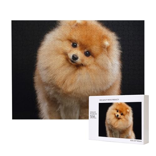 Pomeranian Hund Welpe süß, Puzzle 500 Teile, Holzpuzzle, Spielzeug, Familienspiel, Wanddekoration für Erwachsene und Teenager von KEDDJI