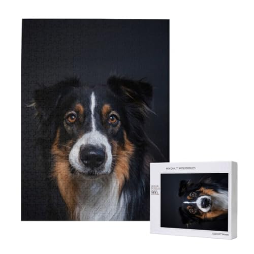 Porträt von Border Collie Druck, 500 Teile Puzzle Holzpuzzle Spielzeug Familienspiel Wanddekoration für Erwachsene Teenager von KEDDJI