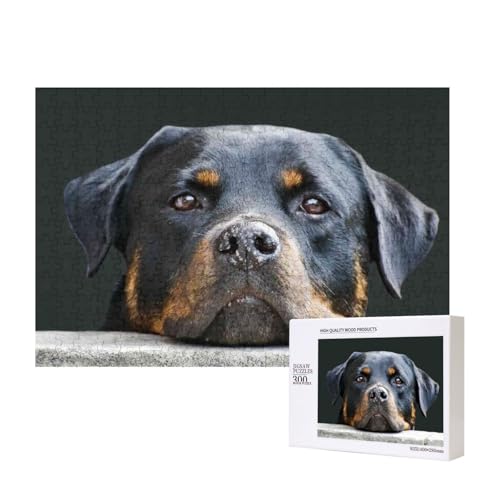 Rottweiler Haustiere Hunde Rottweiler, Puzzle 300 Teile Holzpuzzle Spielzeug Familienspiel Wanddekoration für Erwachsene Teenager von KEDDJI